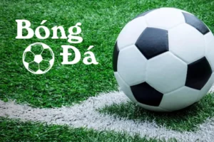 Phân Biệt Bóng Trong Cuộc Và Bóng Ngoài Cuộc Trong Bóng Đá