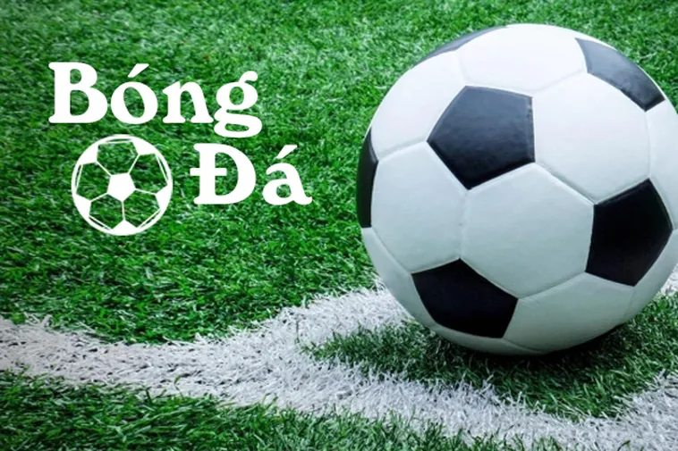 Phân Biệt Bóng Trong Cuộc Và Bóng Ngoài Cuộc Trong Bóng Đá