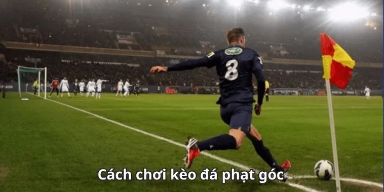 Hướng Dẫn Cách Chơi Kèo Phạt Góc Bóng Đá Dựa Trên Số Liệu Thống Kê