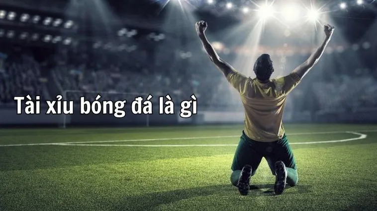 Tổng Hợp Cách Chơi Kèo Tài Xỉu Bóng Đá Dành Cho Người Mới