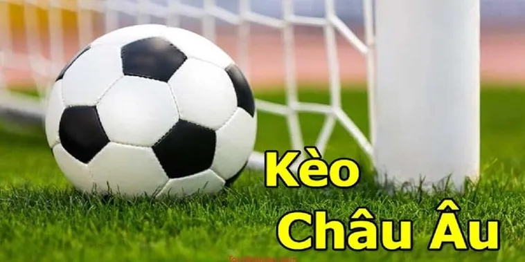 Hướng Dẫn Cách Chơi Kèo Châu Âu Hiệu Quả Tối Ưu Lợi Nhuận Cao