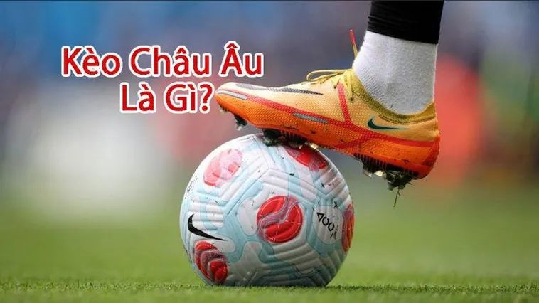 Hướng Dẫn Cách Chơi Kèo Châu Âu Hiệu Quả Tối Ưu Lợi Nhuận Cao