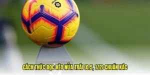Chuyên Gia Giải Mã Cách Chơi Kèo Chấp 0.5 Chuẩn Xác Nhất