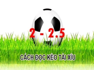 Chuyên Gia Giải Mã Cách Chơi Kèo 2.25 Hiệu Quả Và Chi Tiết