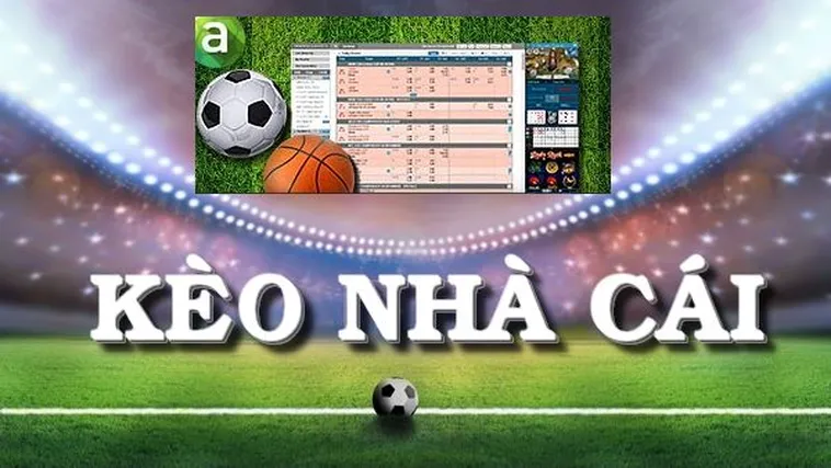 Hướng Dẫn Đọc Kèo Bóng Đá Và Phân Tích Tỷ Lệ Hiệu Quả