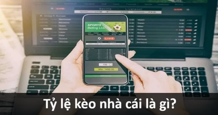 Hướng Dẫn Đọc Kèo Bóng Đá Và Phân Tích Tỷ Lệ Hiệu Quả