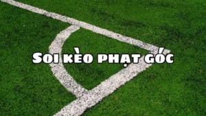 Hướng Dẫn Cách Chơi Kèo Phạt Góc Bóng Đá Dựa Trên Số Liệu Thống Kê